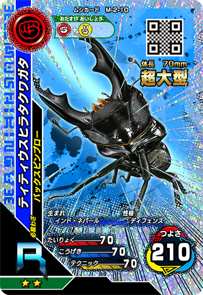 ティティウスヒラタクワガタ（M-2-10）［R］