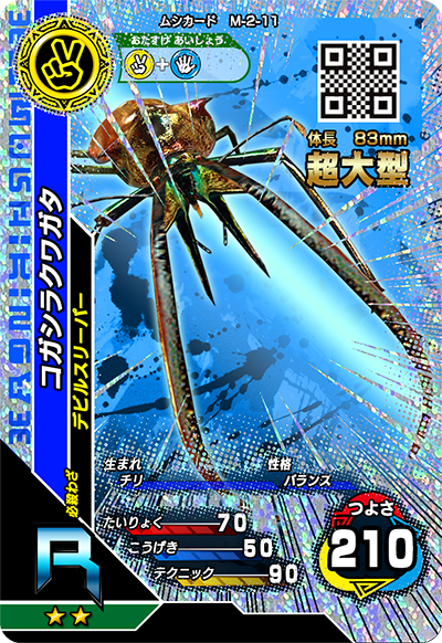 コガシラクワガタ（M-2-11）［R］