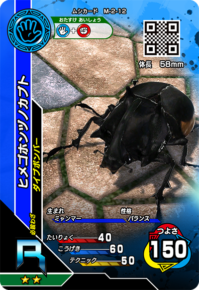 ヒメゴホンヅノカブト（M-2-12）［R］
