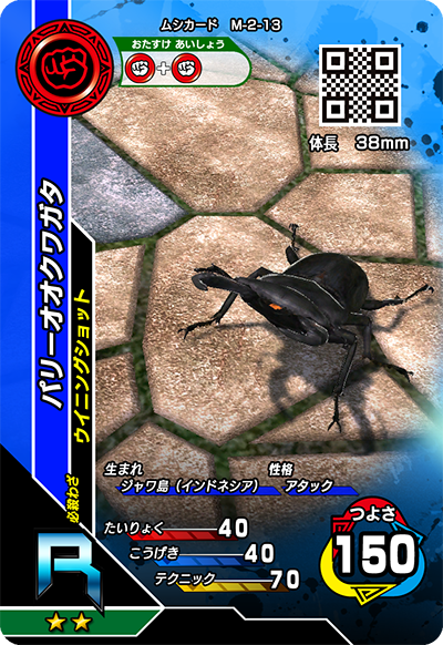 パリーオオクワガタ（M-2-13）［R］