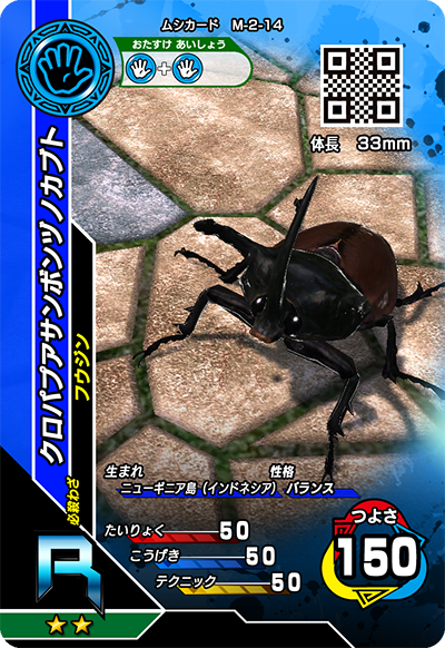 クロパプアサンボンヅノカブト（M-2-14）［R］