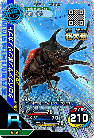 クロパプアサンボンヅノカブト（M-2-14）［R］