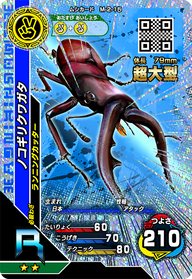 ノコギリクワガタ（M-2-15）［R］