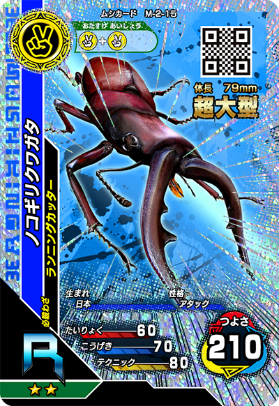 ノコギリクワガタ（M-2-15）［R］