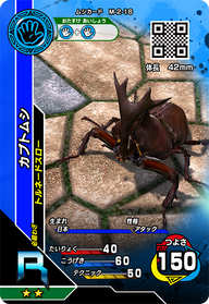 カブトムシ（M-2-16）［R］