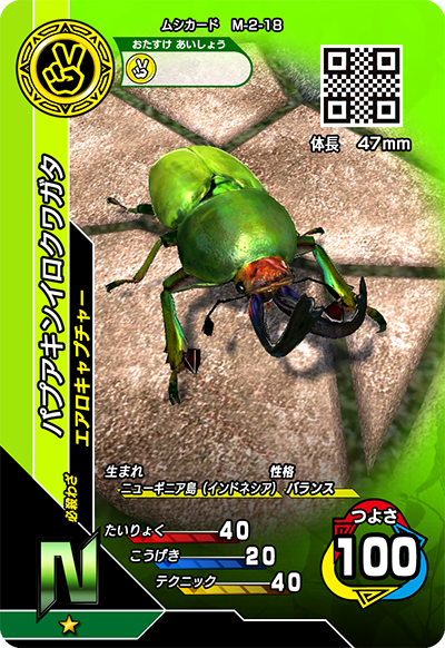 パプアキンイロクワガタ（M-2-18）［N］