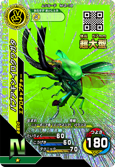 パプアキンイロクワガタ（M-2-18）［N］