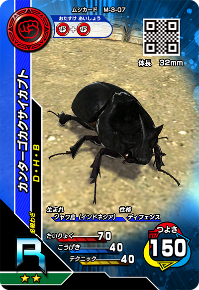 カンターゴカクサイカブト（M-3-07）［R］