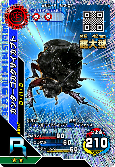 カンターゴカクサイカブト（M-3-07）［R］