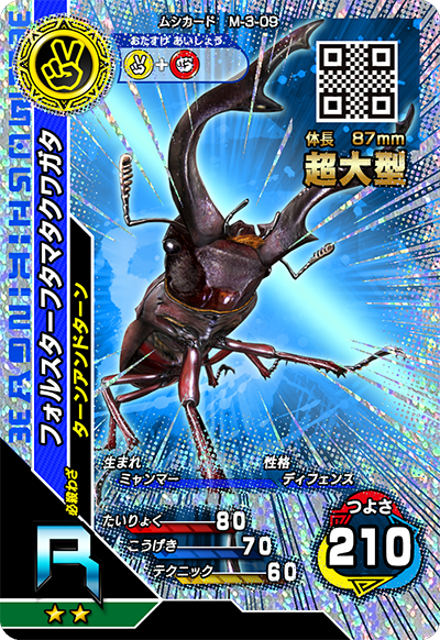 フォルスターフタマタクワガタ（M-3-09）［R］