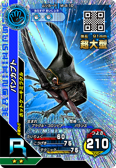 パンカブト（M-3-10）［R］