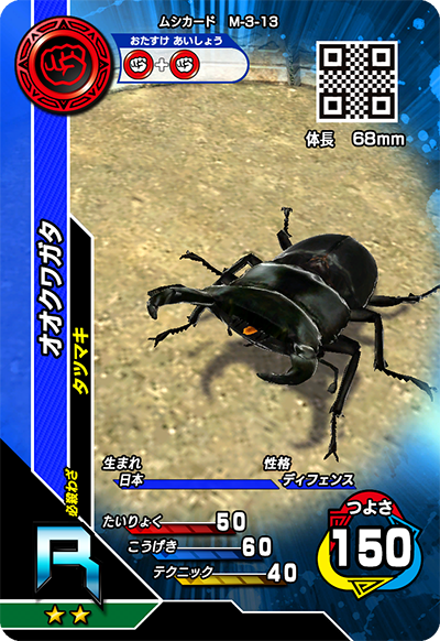 オオクワガタ（M-3-13）［R］