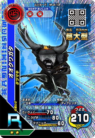 オオクワガタ（M-3-13）［R］