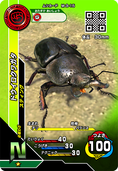 ドウイロクワガタ（M-3-15）［N］