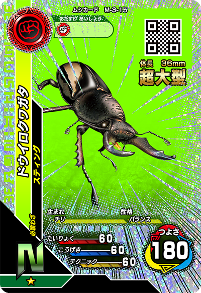 ドウイロクワガタ（M-3-15）［N］