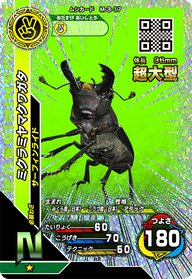 ミクラミヤマクワガタ（M-3-17）［N］