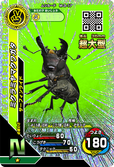 ミクラミヤマクワガタ（M-3-17）［N］