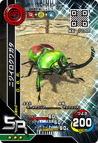 ニジイロクワガタ（M-4-06）［SR］