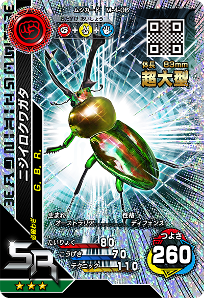 ニジイロクワガタ（M-4-06）［SR］