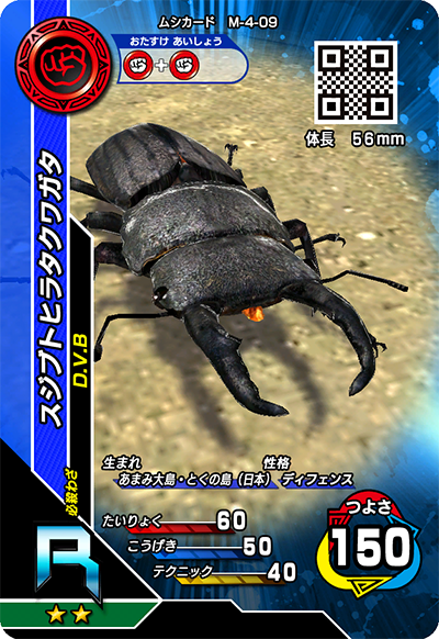 スジブトヒラタクワガタ（M-4-09）［R］