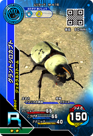 グラントシロカブト（M-4-16）［R］