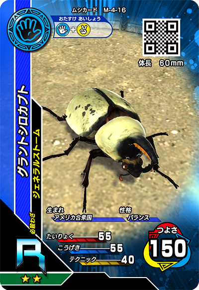 グラントシロカブト（M-4-16）［R］