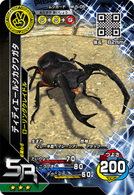 ディディエールシカクワガタ（M-5-05）［SR］