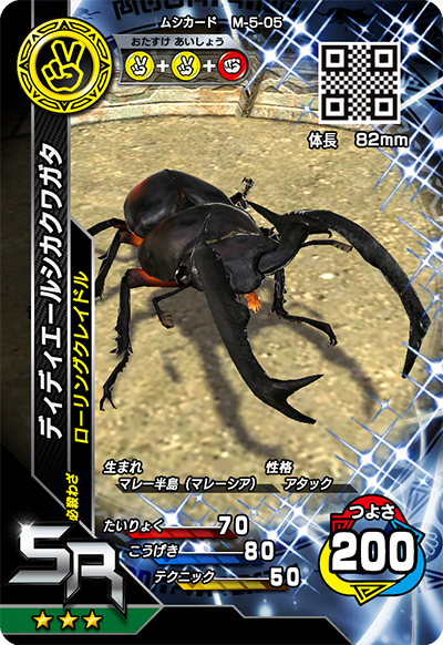 ディディエールシカクワガタ（M-5-05）［SR］