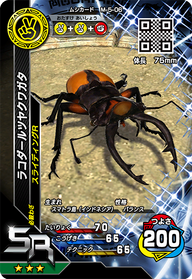 ラコダールツヤクワガタ（M-5-06）［SR］