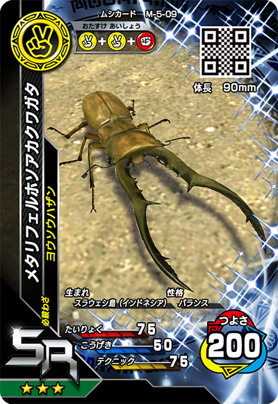 メタリフェルホソアカクワガタ（M-5-09）［SR］
