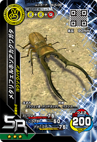 メタリフェルホソアカクワガタ（M-5-09）［SR］
