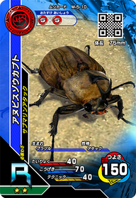 アヌビスゾウカブト（M-5-10）［R］
