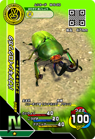パプアキンイロクワガタ（M-5-20）［N］