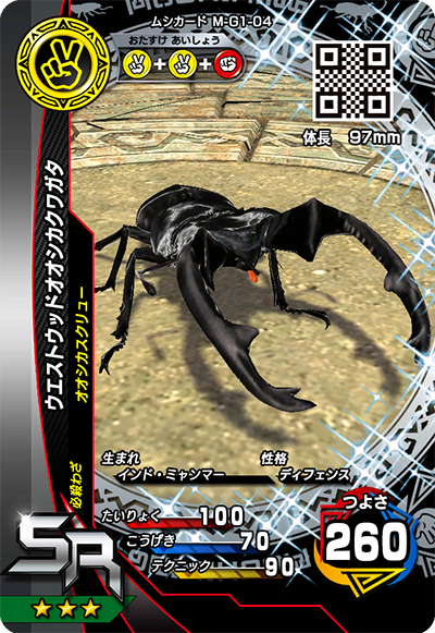 ウエストウッドオオシカクワガタ（M-G1-04）［SR］