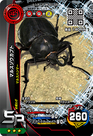 マルスゾウカブト（M-G1-05）［SR］