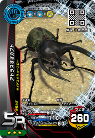 アトラスオオカブト（M-G1-06）［SR］