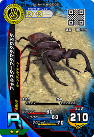 フォルスターフタマタクワガタ（M-G1-08）［R］