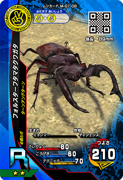 フォルスターフタマタクワガタ（M-G1-08）［R］
