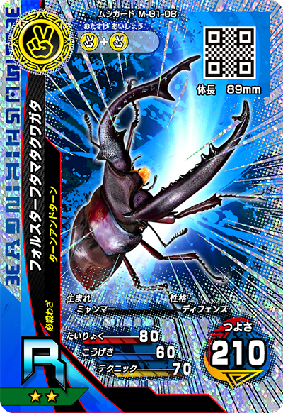 フォルスターフタマタクワガタ（M-G1-08）［R］
