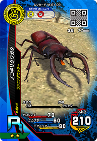 ノコギリクワガタ（M-G1-09）［R］