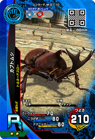 カブトムシ（M-G1-10）［R］