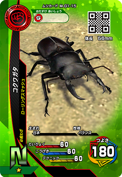 コクワガタ（M-G1-15）［N］