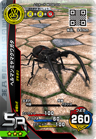 ヘルマンミヤマクワガタ（M-G2-03）［SR］