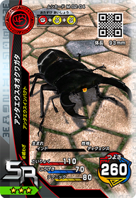 アンタエウスオオクワガタ（M-G2-04）［SR］