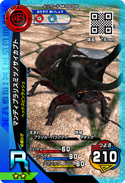マンディブラリスミツノサイカブト（M-G2-08）［R］