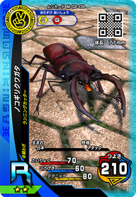 ノコギリクワガタ（M-G2-09）［R］