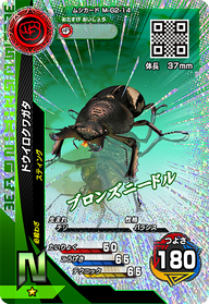 ドウイロクワガタ（M-G2-14）［N］