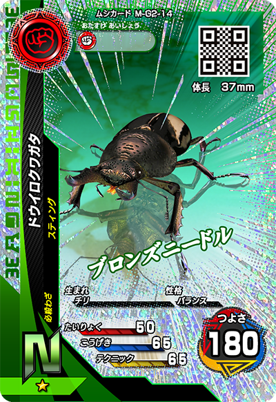 ドウイロクワガタ（M-G2-14）［N］