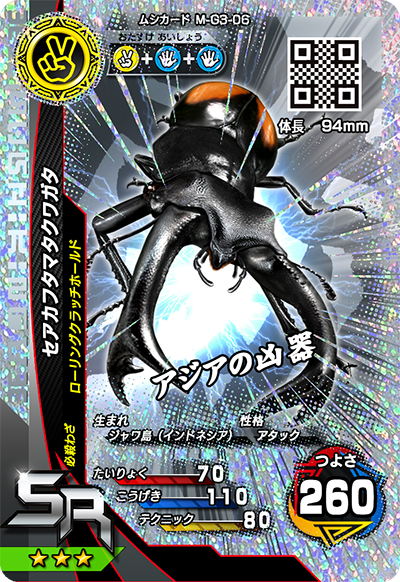 セアカフタマタクワガタ（M-G3-06）［SR］
