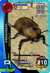 アヌビスゾウカブト（M-G3-08）［R］